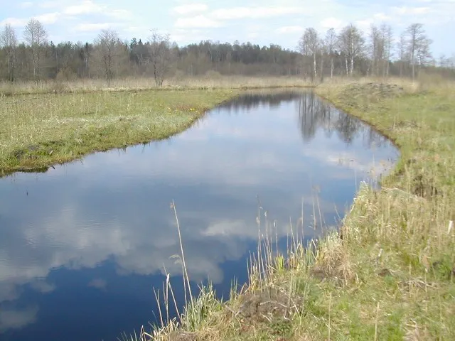 Troubled Waters of Transborder Rivers
