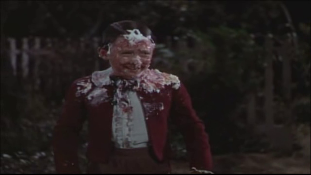 Cake in Face
