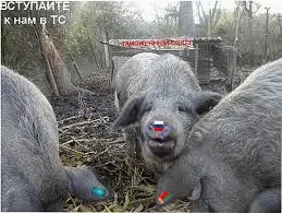 Дұрыс бағыттағы қорғаныс