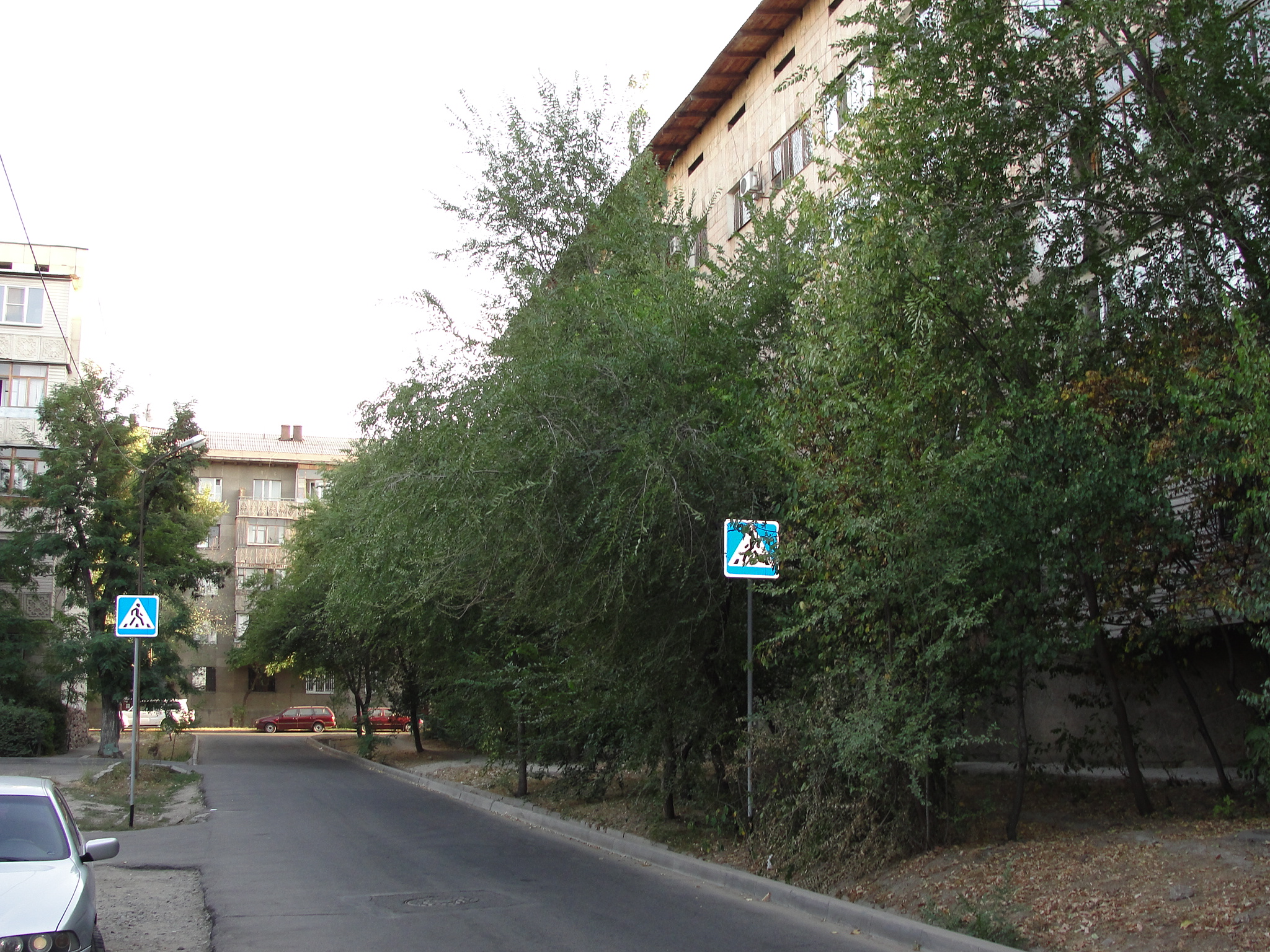 The Most Irrelevant Road Signs in the World
